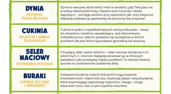 Brokuły dla psa: Bezpieczne? Kluczowe zasady podawania