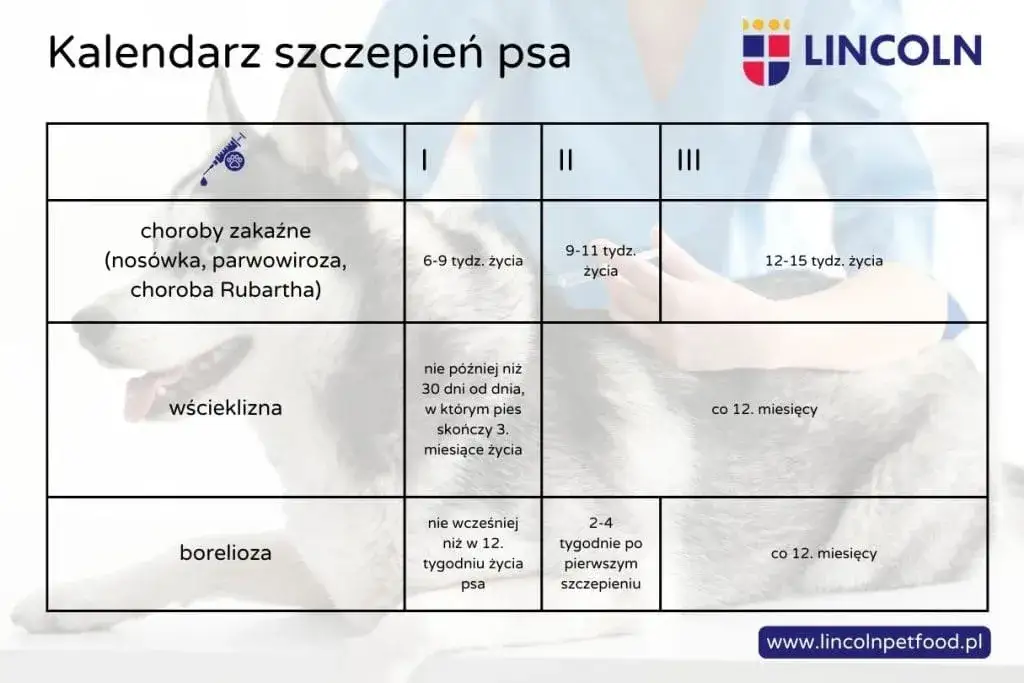 Kalendarz szczepień szczeniaka