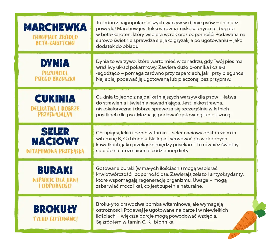 naturalne źr&oacute;dła błonnika dla psa warzywa owoce